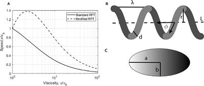 Optical Force Measurements Illuminate Dynamics of Escherichia coli in Viscous Media